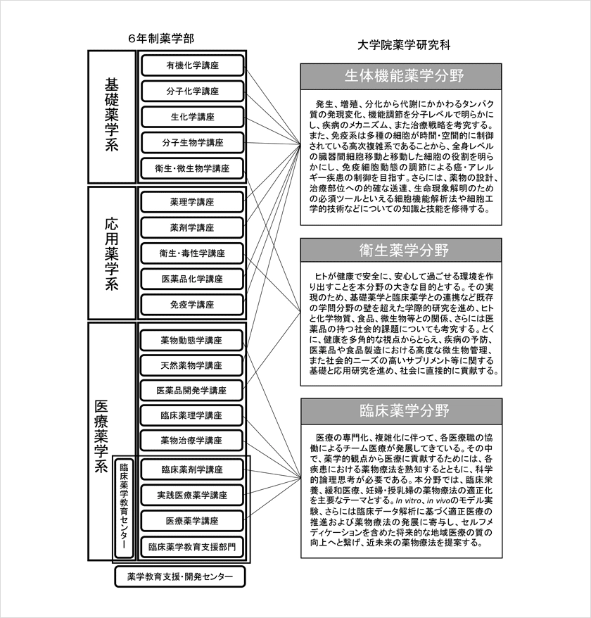 図：大学院薬学研究科と6年制薬学部教育の構成