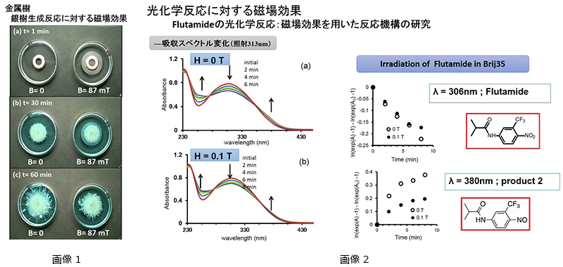 金属樹生成反応に対する磁場効果  光反応に対する磁場効果