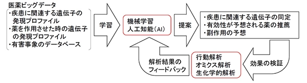 図4. 認知症の予防薬・治療薬の探索の概要