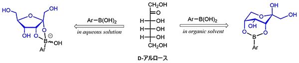 D-アルロース（D-プシコース）の反応例