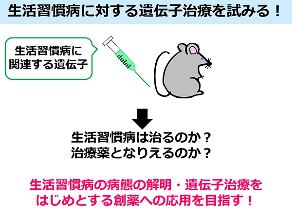 Fig. 3「生活習慣病に対する遺伝子治療を試みる！」