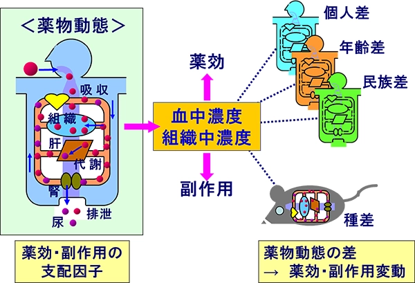 図1