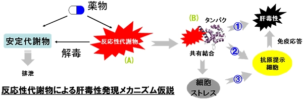 図6